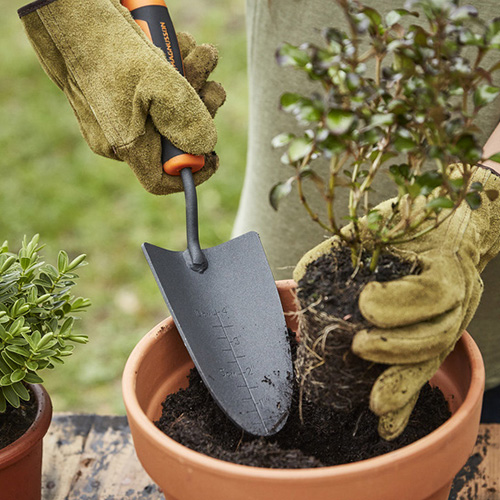 kit d'outils de jardinage pour bonsaï, 25 pièces en acier au carbone pour  intérieur et extérieur, sac d'entretien pour arbre avec fi