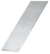 Plat aluminium brut - 10 x 2 mm 1 m Argent - Brico Dépôt