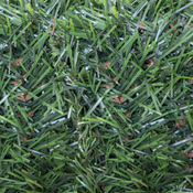 Haie artificielle vert H. 1 m x Ep. 8 cm x l. 3 m - Blooma - Brico Dépôt