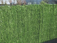 Haie Artificielle 1m50 x 5m Pare Vue Feuillages Brise Vue pour Balcon  Clôture de Jardin mur Vegetal Artificiel Haie Verte en PVC Brise Vue de  Jardin Brise Vue Balcon Feuillage Clôtures Décoratives 