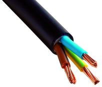 Câble électrique R2V 3G6 mm² noir - 50 m - Brico Dépôt