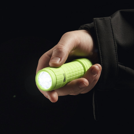 Mini torche plastique verte LED 20 lm verte - Diall - Brico Dépôt