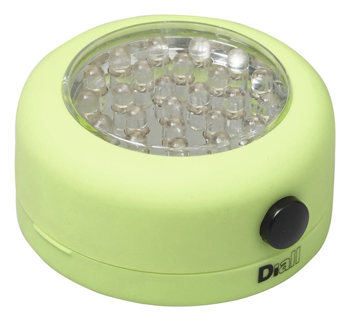 Torche ronde plastique LED 60 lm verte - Diall - Brico Dépôt