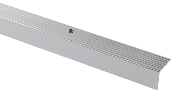 Nez de marche aluminium brillant L. 900 x l. 25 x Ép. 20 mm - GoodHome - Brico Dépôt