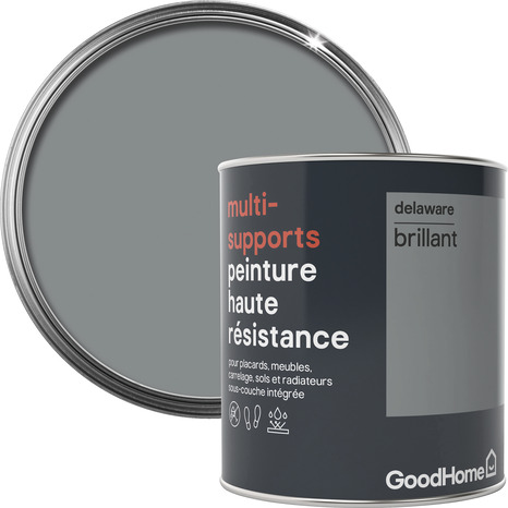 Peinture haute résistance multi-supports acrylique brillant gris Delaware 0,75 L - GoodHome - Brico Dépôt