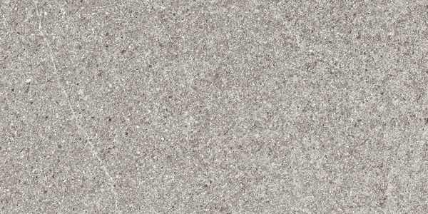 Carrelage de sol extérieur "English Stone" greige - l. 31 x L. 62 cm - Brico Dépôt