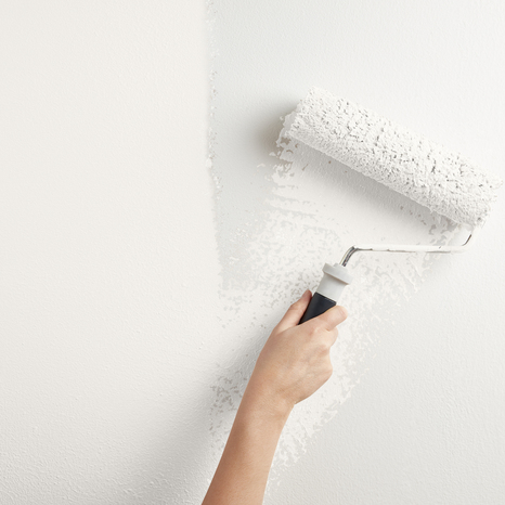 Peinture mur intérieur mat 0,75 L blanc coton - Evalux - Brico Dépôt