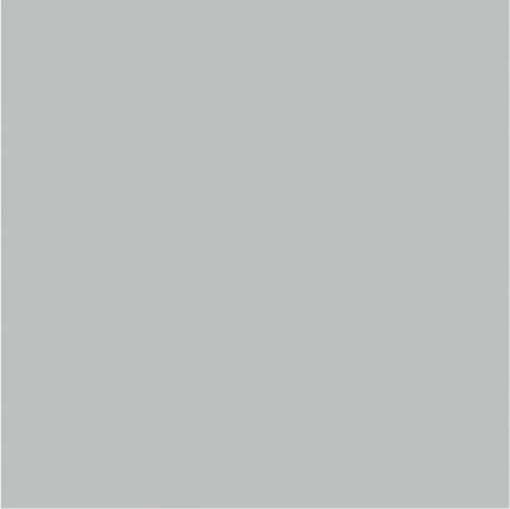 Peinture façade extrême 10 L gris clair mat - Evalux - Brico Dépôt