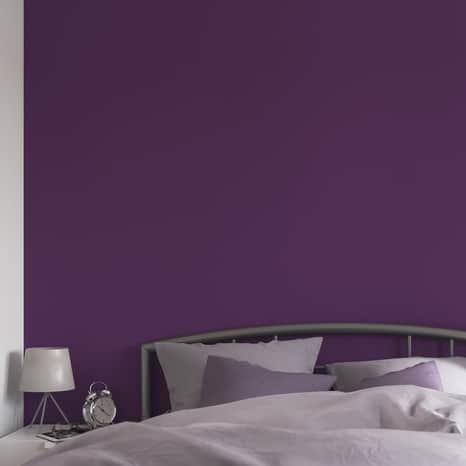 Peinture mur intérieur Mat 2,5 L ultra Violet - Evalux - Brico Dépôt