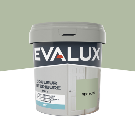 Peinture mur intérieur Mat 0,75 L Vert olive - Evalux - Brico Dépôt