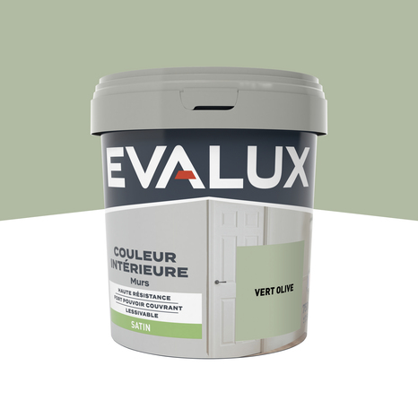 Peinture mur intérieur Satin 0,75 L Vert olive - Evalux - Brico Dépôt