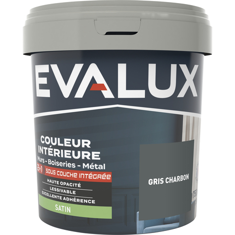 Peinture mur intérieur 2 en 1 Satin 0,75 L Gris charbon - Evalux - Brico Dépôt