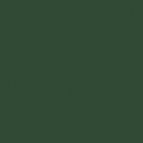 Peinture métal extérieur brillant 0,5 L vert basque - Ripolin - Brico Dépôt