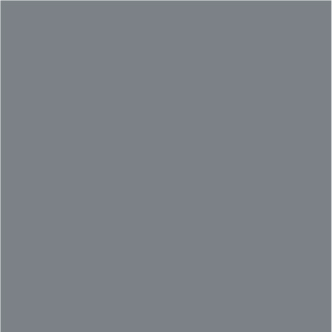 Peinture extérieure Satin multi supports 0,75 L gris moyen - Evalux - Brico Dépôt