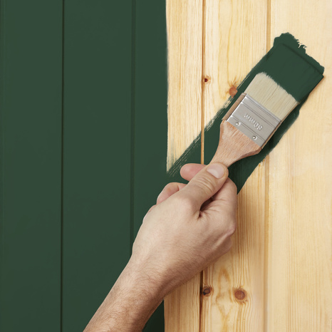 Peinture extérieur bois 0,75 L vert mousse satin - Evalux - Brico Dépôt