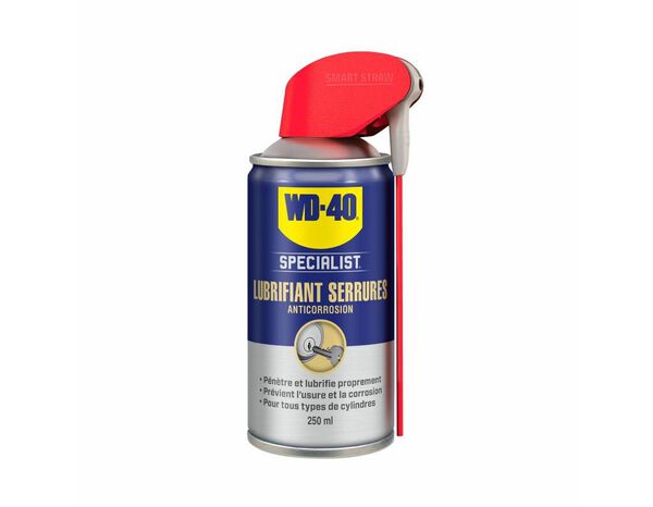 Wd40 specialist lubrifiant serrure 250 ml - WD40 - Brico Dépôt