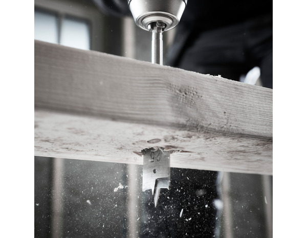 Mèche en acier carbone plate, à bois, Diam. 25 mm - Erbauer - Brico Dépôt