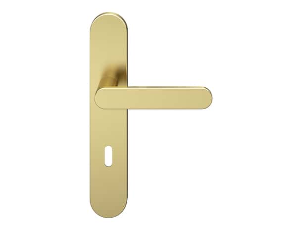 Poignée de porte "Marick" avec trou pour clé - Effet laiton - Entraxe adaptable 165-195 mm - Cooke and Lewis - Brico Dépôt