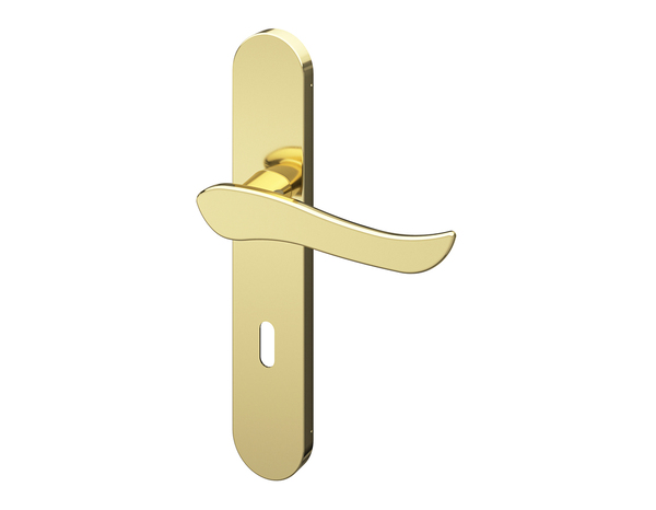 Poignée de porte "Arcles" avec trou pour clé - Effet laiton - Entraxe adaptable 165-195 mm - Cooke and Lewis - Brico Dépôt