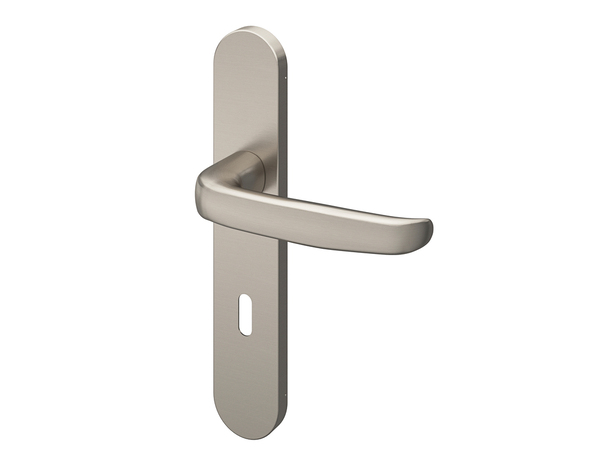 Poignée de porte "Goderic" avec trou pour clé - Effet nickel - Entraxe adaptable 165-195 mm - Cooke and Lewis - Brico Dépôt