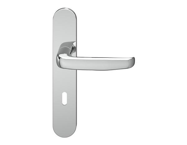 Poignée de porte "Goderic" avec trou pour clé - Effet chromé - Entraxe adaptable 165-195 mm - Cooke and Lewis - Brico Dépôt
