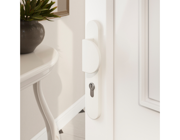 Poignée de porte extérieure "Goderic" avec trou pour cylindre - Blanc - Entraxe 195 mm - Cooke and Lewis - Brico Dépôt