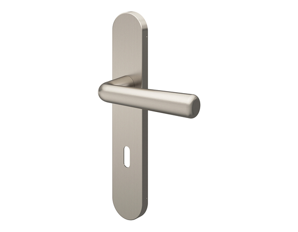 Poignée de porte "Derenic" avec trou pour clé - Effet nickel - Entraxe adaptable 165-195 mm - Cooke and Lewis - Brico Dépôt