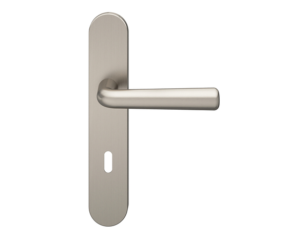 Poignée de porte "Derenic" avec trou pour clé - Effet nickel - Entraxe adaptable 165-195 mm - Cooke and Lewis - Brico Dépôt