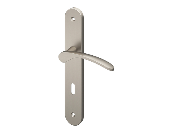 Poignée de porte "Loric" avec trou pour clé - Effet nickel - Entraxe 195 mm - Cooke and Lewis - Brico Dépôt