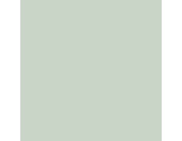 Testeur peinture cuisine Color resist acrylique mat vert saule 30 ml - Dulux Valentine - Brico Dépôt