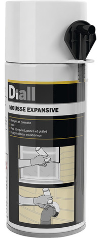 Mousse expansive - 300 ml - Diall - Brico Dépôt