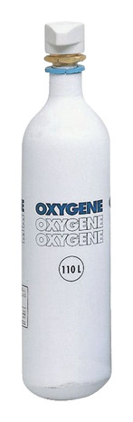 Recharge oxygène 110 L - Oxypower R110 et Coxynel - Campingaz - Brico Dépôt