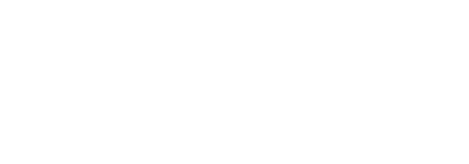 Logo Magnusson