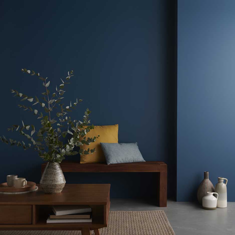 Peinture couleur murs et plafonds 