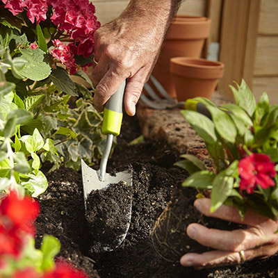 Embellir Et Cultiver Son Jardin Brico Depot