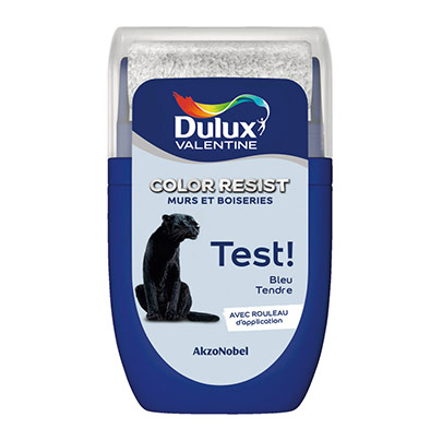 Testeur de peinture Dulux