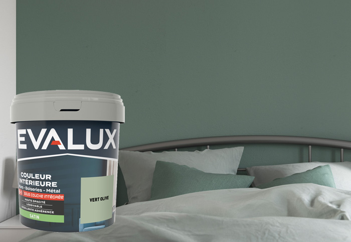 Peinture couleur mur et plafond