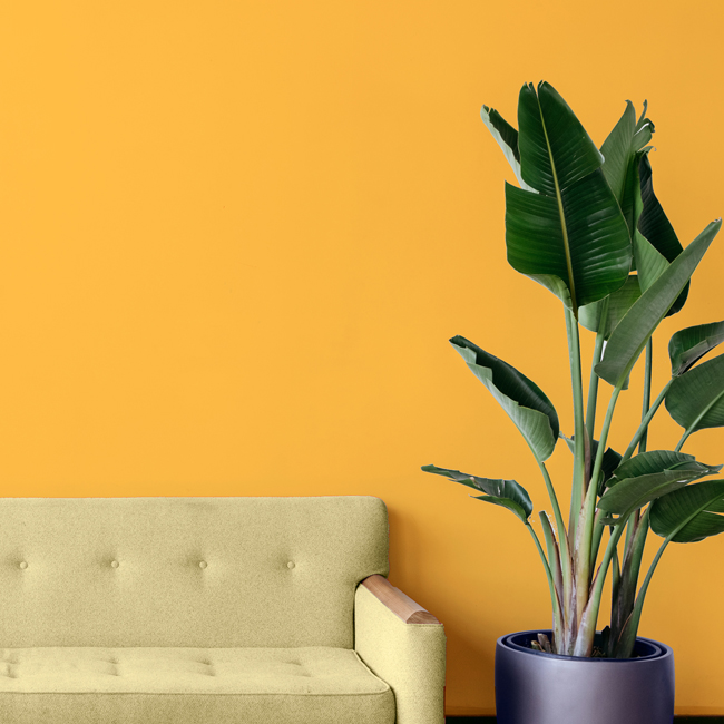 Gammes colorants Idéacolor