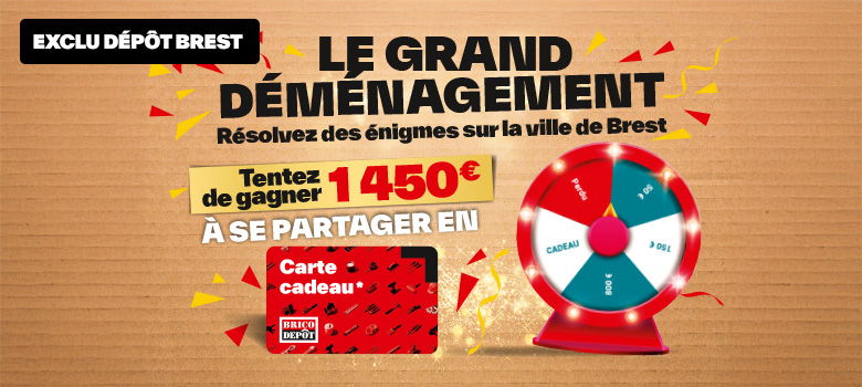 Le grand déménagement Brest