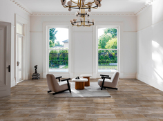 Carrelage sol intérieur "Baobab" Beige grès cérame 17x62 cm aspect bois - Brico Dépôt