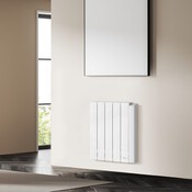 Radiateur 1500 W bain d’huile, programmable SOLARIE - 71x58x9 cm - DéLonghi - Brico Dépôt