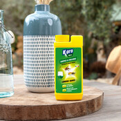 Attractif pour piège guêpes et frelons liquide extérieur 375 g - Brico Dépôt