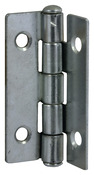 2 charnières en acier zingué 22x35x0,8 mm - Handix - Brico Dépôt