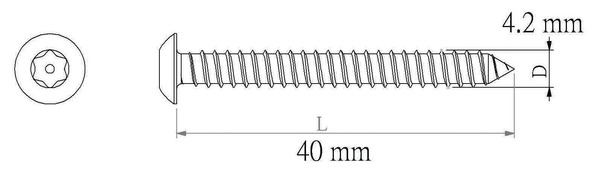 Vis de sécurité inox A2 4,2 x 40 mm 25 pcs - Diall - Brico Dépôt