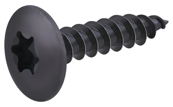 Vis de charnière noir 6 x 30 mm 20 pièces - Diall - Brico Dépôt