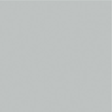 Peinture extérieure Satin multi supports 0,75 L gris clair - Evalux - Brico Dépôt