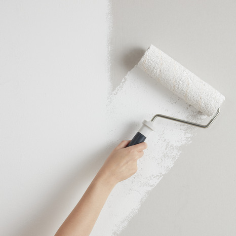 Peinture Blanche intérieure 2en1 sous couche intégrée Mat 2,5 L - Evalux - Brico Dépôt