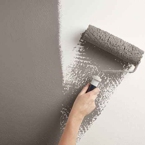 Testeur Peinture mur intérieur Mat 0,05 L Gris galet - Evalux - Brico Dépôt