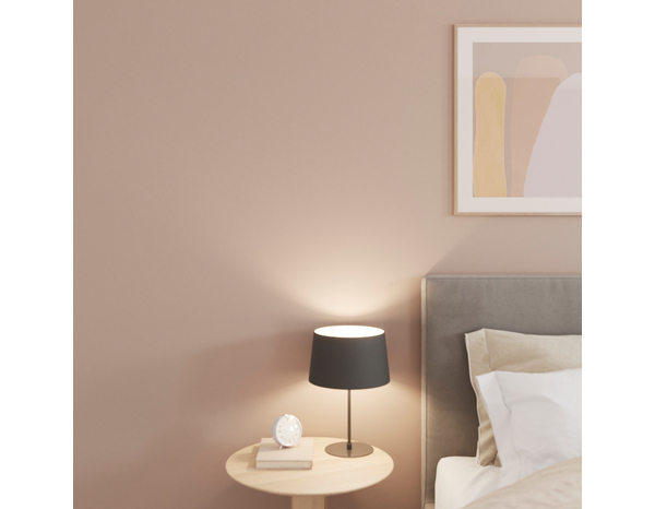 Peinture mur intérieur Mat 2,5 L Beige cappuccino - Evalux - Brico Dépôt