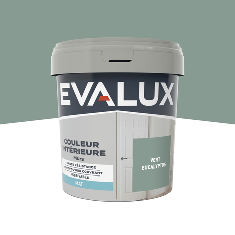 Peinture mur intérieur Mat 0,75 L Vert eucalyptus - Evalux - Brico Dépôt